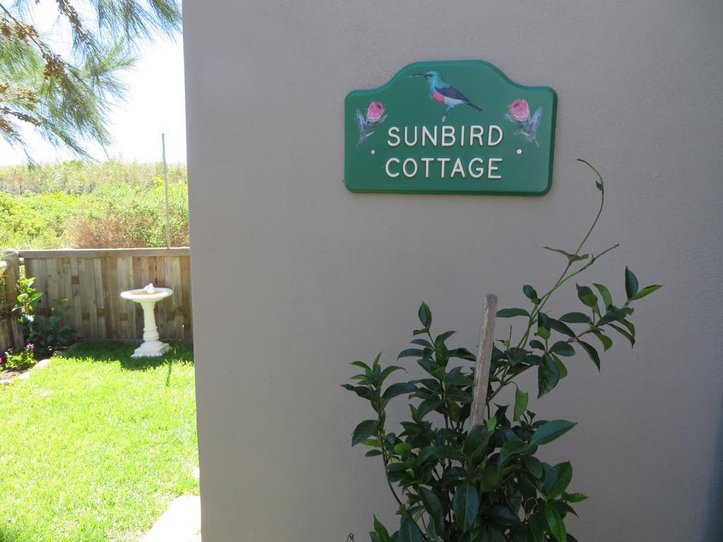 Sunbird Cottage Noordhoek Eksteriør bilde